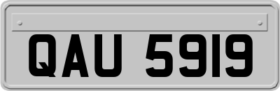 QAU5919