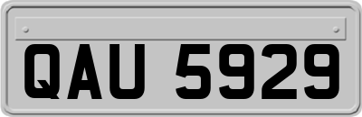 QAU5929