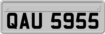 QAU5955