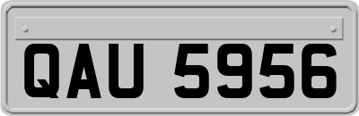 QAU5956