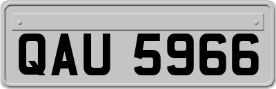 QAU5966