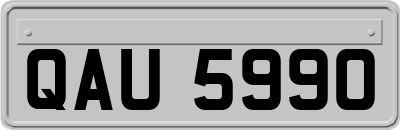 QAU5990