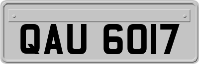 QAU6017