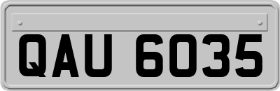 QAU6035