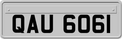 QAU6061