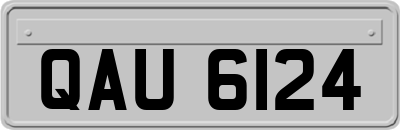 QAU6124