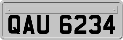 QAU6234