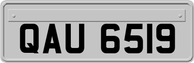 QAU6519