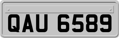 QAU6589