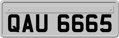 QAU6665