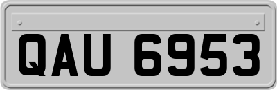 QAU6953