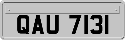 QAU7131