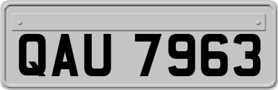 QAU7963