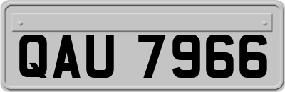 QAU7966