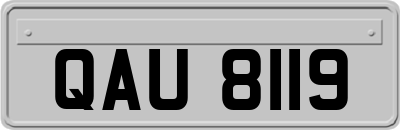 QAU8119