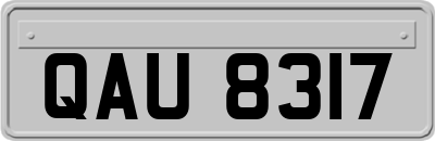 QAU8317