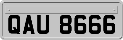 QAU8666