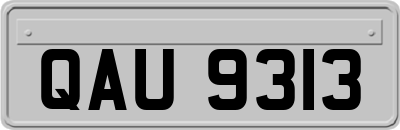 QAU9313