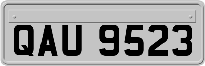 QAU9523