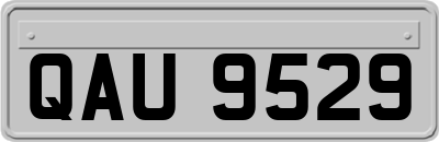 QAU9529