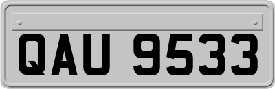 QAU9533