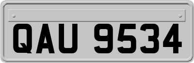 QAU9534