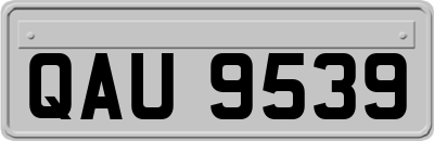 QAU9539