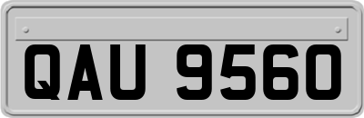 QAU9560