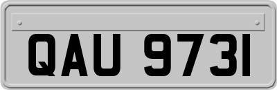 QAU9731