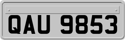 QAU9853