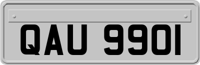 QAU9901