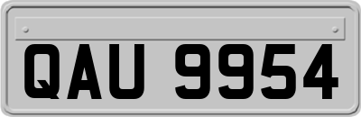 QAU9954