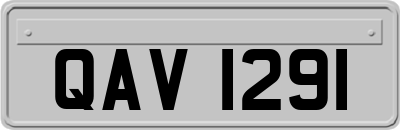 QAV1291