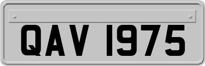 QAV1975