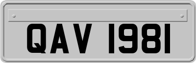 QAV1981