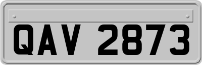 QAV2873