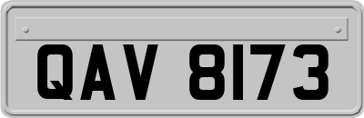 QAV8173