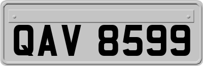 QAV8599