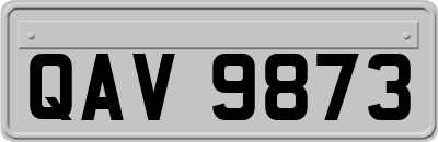 QAV9873