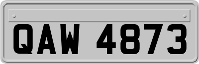 QAW4873