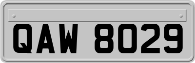 QAW8029