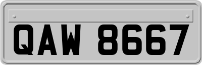 QAW8667