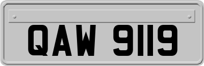 QAW9119
