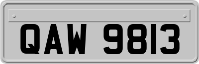 QAW9813