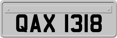 QAX1318