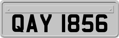 QAY1856