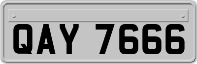 QAY7666