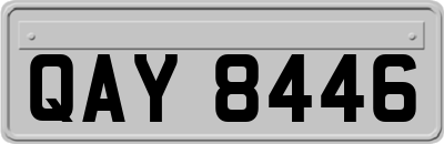 QAY8446