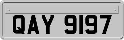 QAY9197