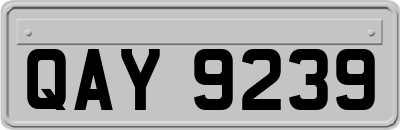 QAY9239